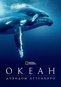 Океан с Дэвидом Аттенборо (2025)