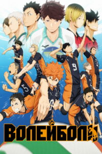 Волейбол!! (2014)
