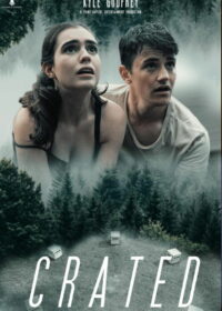 В заточении (2020)