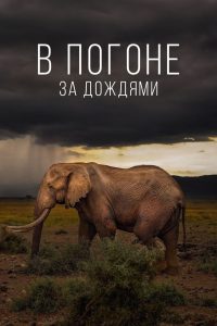 В погоне за дождями (2023)