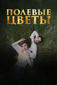 Дикие цветы (2024)