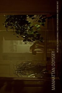 Манхэттенская одиссея (2020)