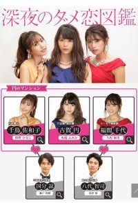 Путеводитель по плохим любовным историям (2018)