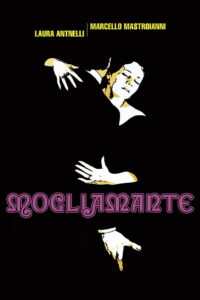 Жена-любовница (1977)