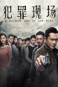 Неожиданный свидетель (2019)