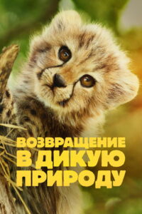 Возвращение в дикую природу (2025)