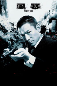 Огненная буря (2013)