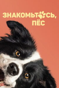 Знакомьтесь, пёс (2022)