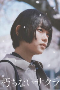 Сакура (2024)